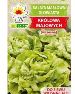 Sałata Królowa Majowych