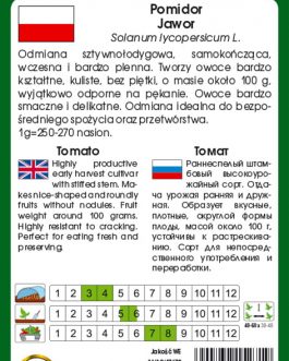 Pomidor Jawor
