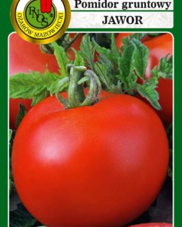 Pomidor Jawor