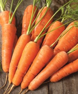 Marchew Amsterdam 3 wczesna £1.50