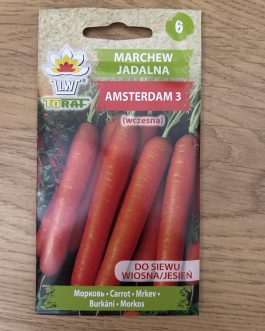 Marchew Amsterdam 3 wczesna £1.50