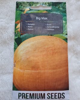 Dynia olbrzymia Big MAX