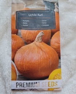 Dynia Uchiki Kuri w typie Hokkaido-£1.70
