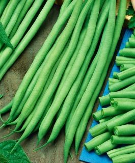 Fasola szparagowa Bona -£1.80