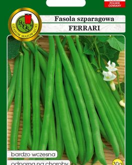 Fasola szparagowa 'FERRARI'