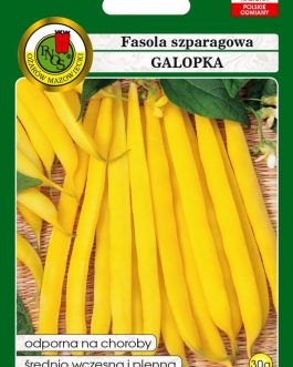 Fasola szparagowa 'Galopka'