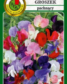 Groszek pachnący mieszany 1.5g