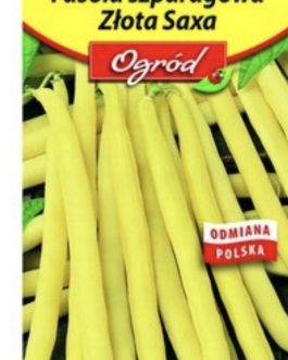 Fasola złota Saxa zwykła, wczesna, bezwłóknista, żółtostrąkowa