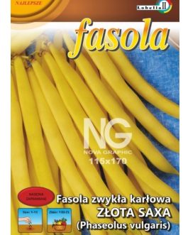 Fasola złota Saxa zwykła, wczesna, bezwłóknista, żółtostrąkowa