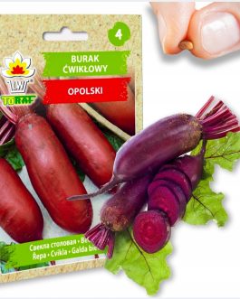 burak ćwikłowy Opolski-£1.80