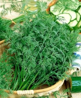 Koper ogrodowy Krezus