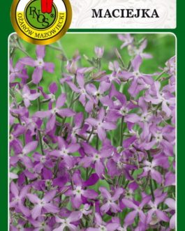 Maciejka