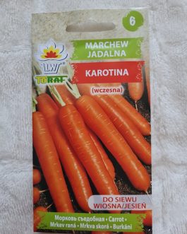 Marchew Karotina