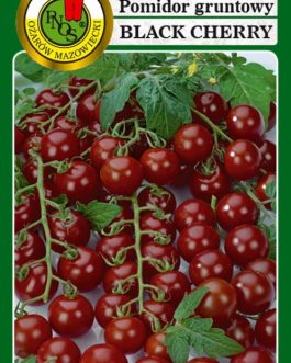Pomidor koktajlowy 'BLACK CHERRY'