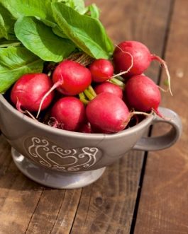 Rzodkiewka Duo Ł1.40