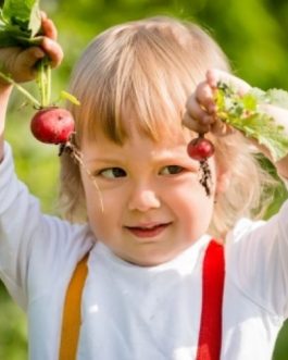 WESOŁY OGRÓDEK- Rzodkieweczki kuleczki.