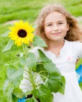 WESOŁY OGRÓDEK- Słoneczniki agenciki!