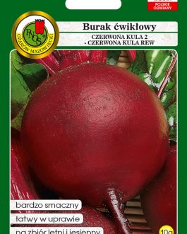 Burak ćwikłowy 'CZERWONA KULA'