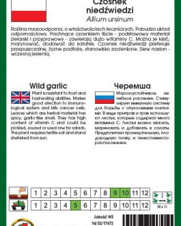 CZOSNEK NIEDŹWIEDZI