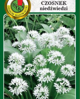 CZOSNEK NIEDŹWIEDZI