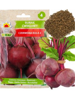 BURAK ĆWIKŁOWY CZERWONA KULA 2