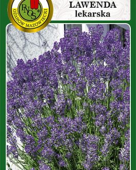 LAWENDA LEKARSKA