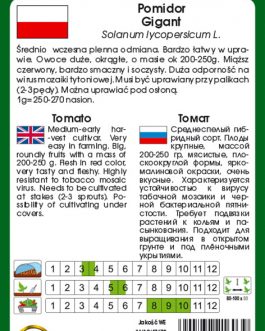 Pomidor 'GIGANT’