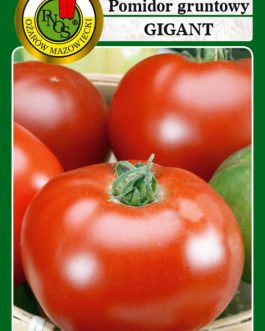 Pomidor 'GIGANT'