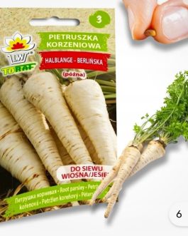 Pietruszka berlińska typ Halblange