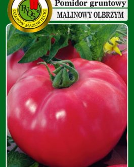 pomidor Malinowy Olbrzym