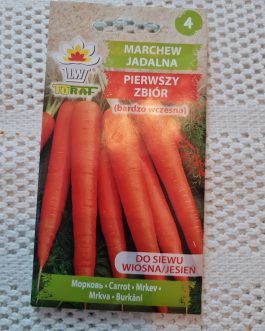 Marchew Pierwszy zbiór