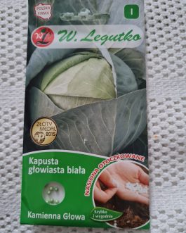 KAPUSTA KAMIENNA GŁOWA