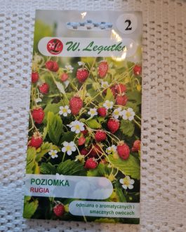 Poziomka 'RUGIA’  Ł1.90