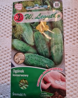 ogórek Śremski,  ok 50 nasion otoczkowanych