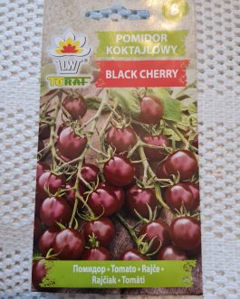 pomidor koktajlowy Black Cherry