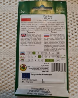 pomidor gruntowy Gigant