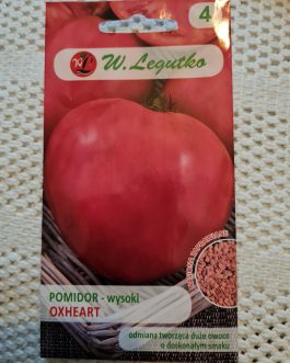 pomidor bawole serce