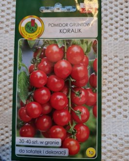 pomidor Koralik