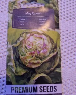 sałata Królowa Majowych, masłowa