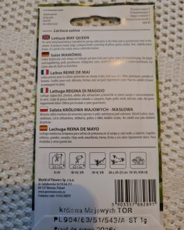 sałata Królowa Majowych, masłowa