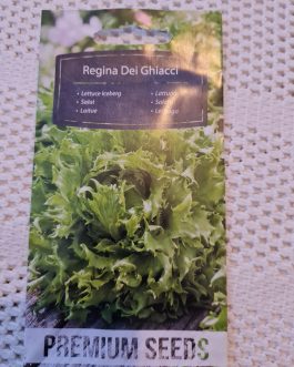 sałata Regina Dei Ghiacci