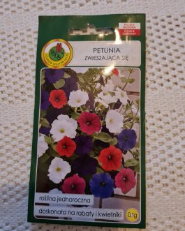 Petunia zwieszająca