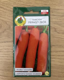 Marchew Pierwszy zbiór