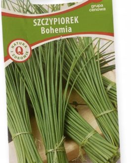 szczypiorek Bohemia, wieloletni