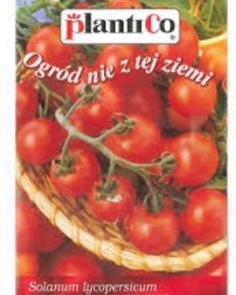 Pomidor karłowy Maskotka