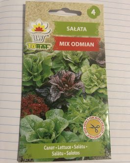 sałata mix