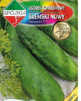 ogórek śremski, nasiona zaprawiane