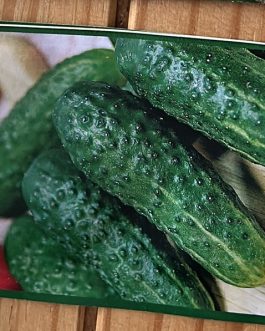 ogórek śremski  2g