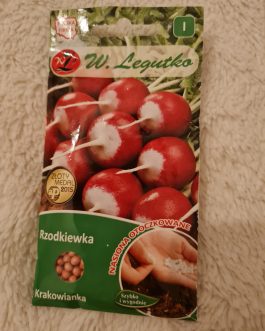rzodkiewka Krakowianka