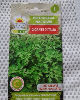 pietruszka naciowa GiganteD’Italia